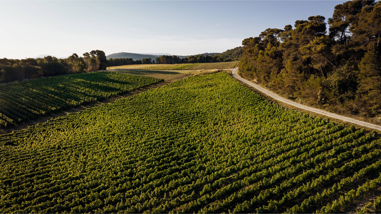 VB Photographe(c)MorganPalun 0009