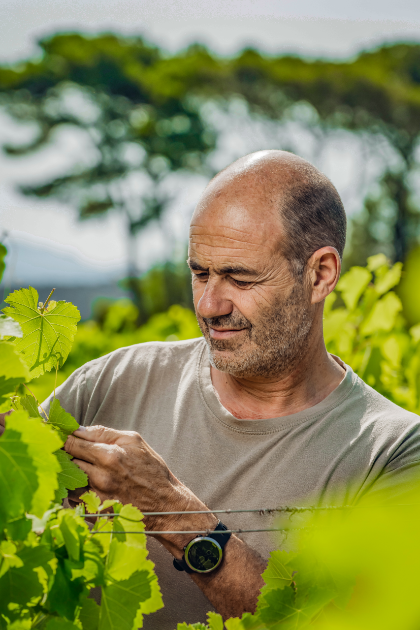 VB Photographe(c)MorganPalun 4373(2)