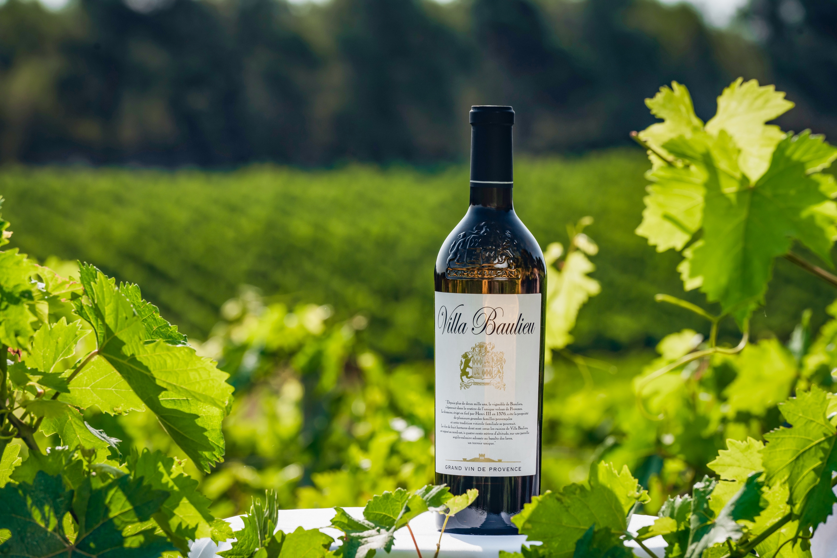 VB Photographe(c)MorganPalun 4310