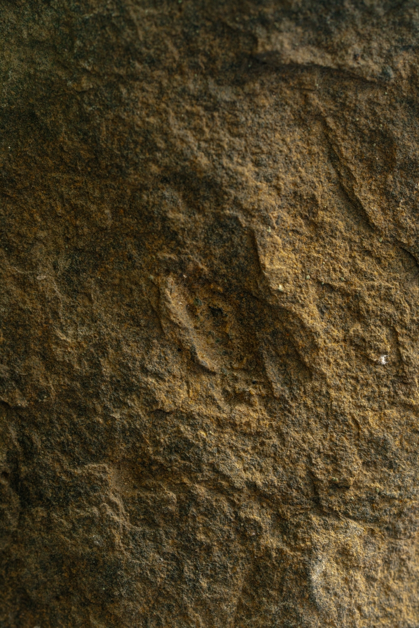 VillaBaulieu Photographe(c)MorganPalun 17 2